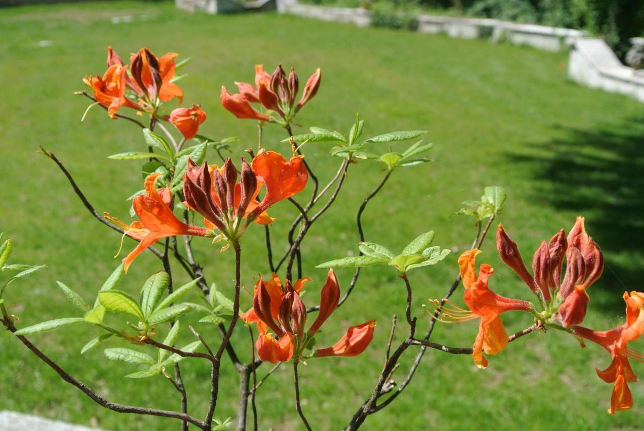 Bed and Breakfast campagnoli Somma Lombardo Esterno foto